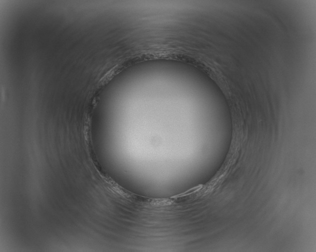 X0000054360576200507290808