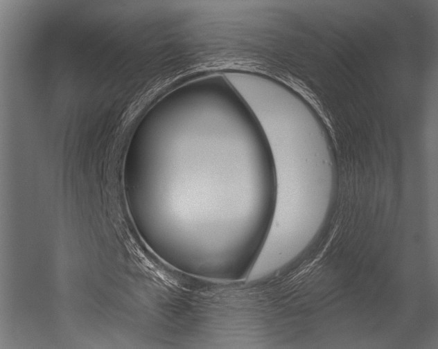 X0000054360577200507290807