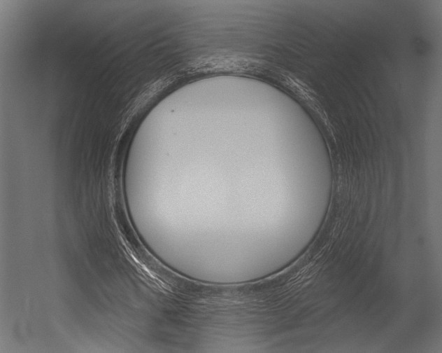X0000054360578200507290807