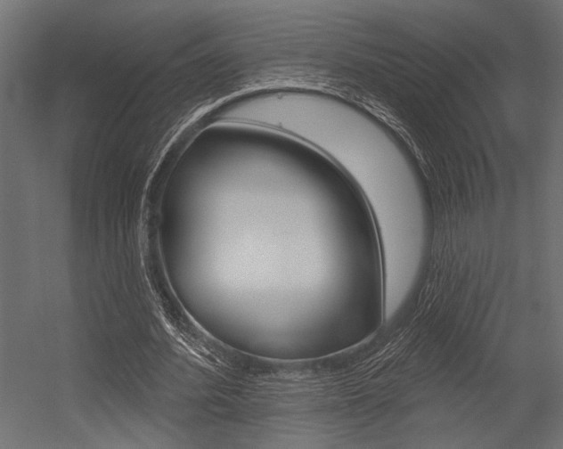 X0000054360580200507290807