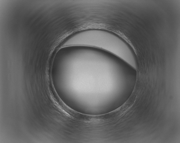 X0000054360581200507290807