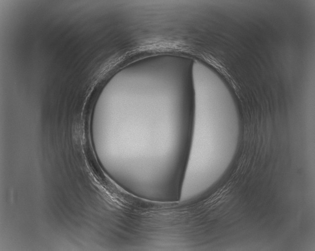 X0000054360582200507290807