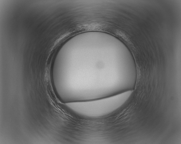 X0000054360583200507290807