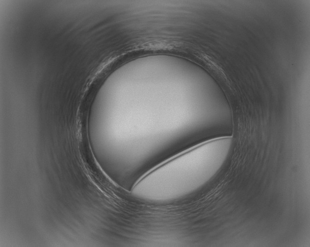 X0000054360584200507290807
