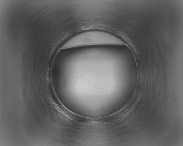X0000054360585200507290807