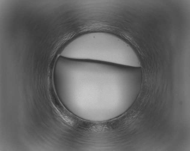 X0000054360586200507290807