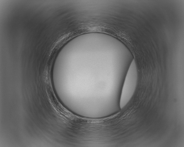 X0000054360587200507290807