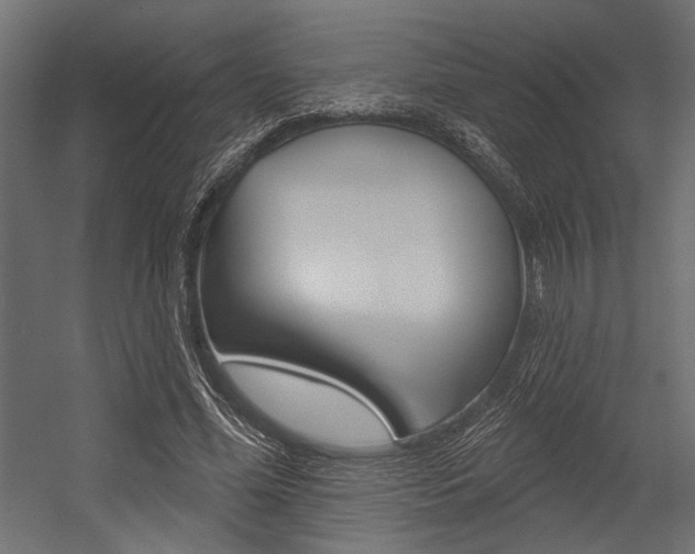 X0000054360588200507290807