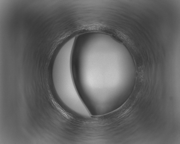 X0000054360589200507290807