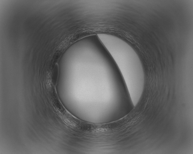 X0000054360593200507290807