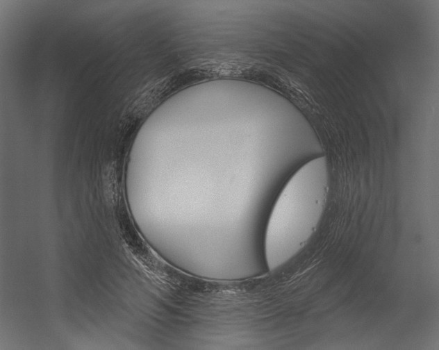 X0000054360594200507290807