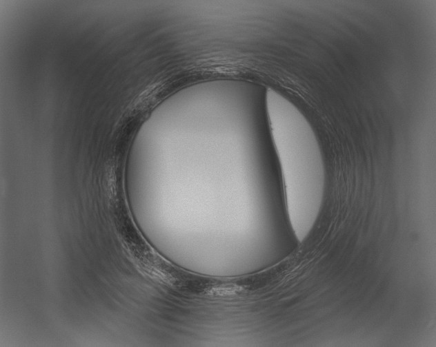 X0000054360595200507290807