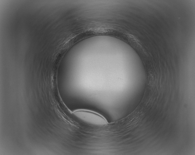 X0000054360596200507290807