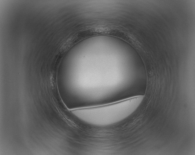 X0000054360597200507290807