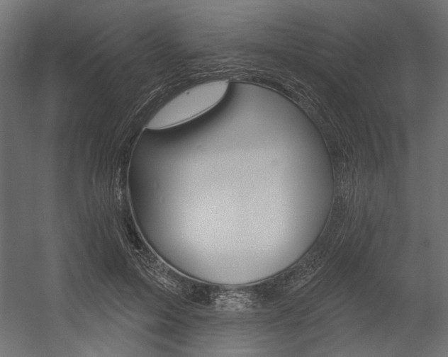 X0000054360599200507290807