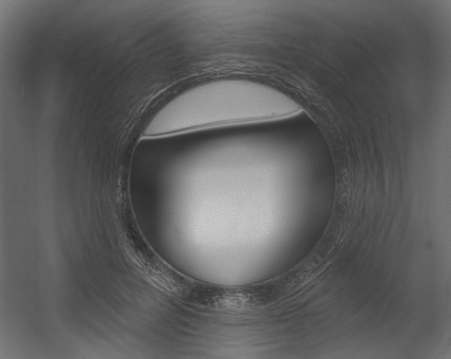 X0000054360600200507290807