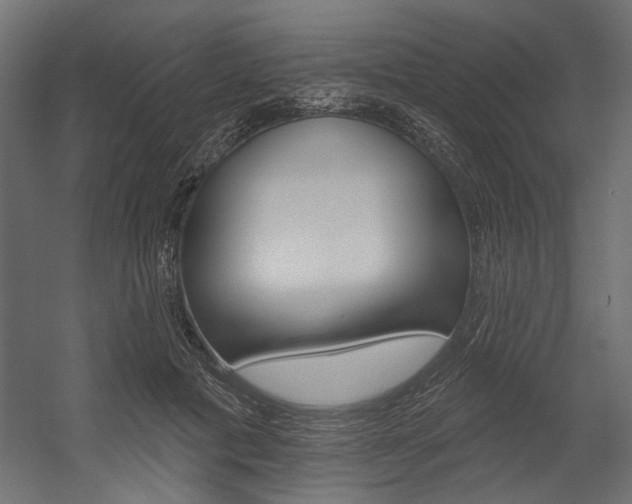 X0000054360601200507290807