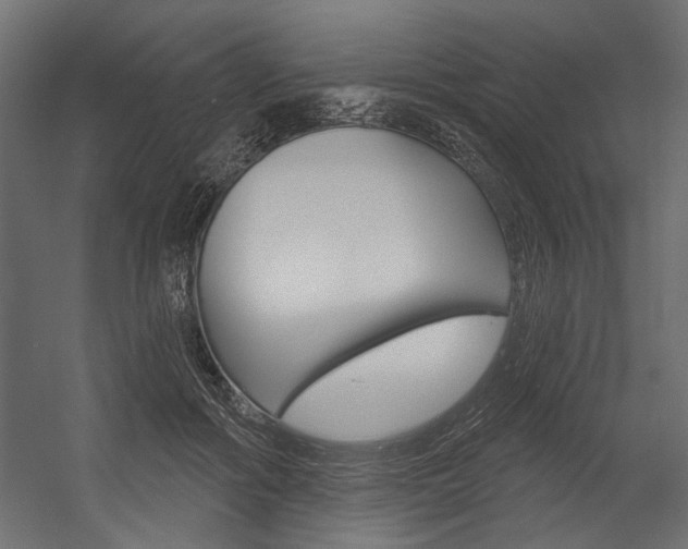 X0000054360602200507290807