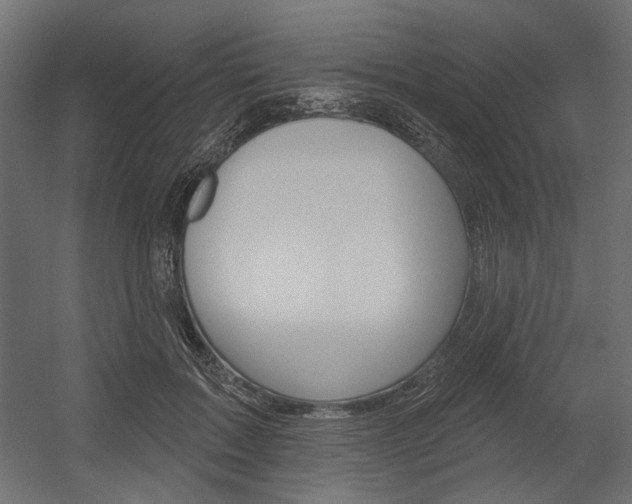 X0000054360603200507290807