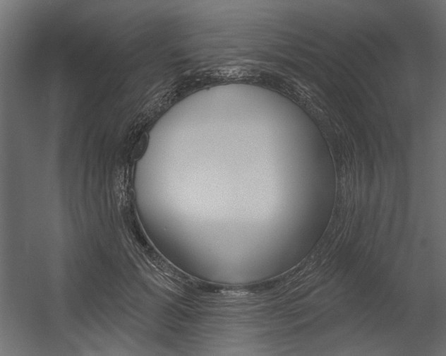 X0000054360605200507290807