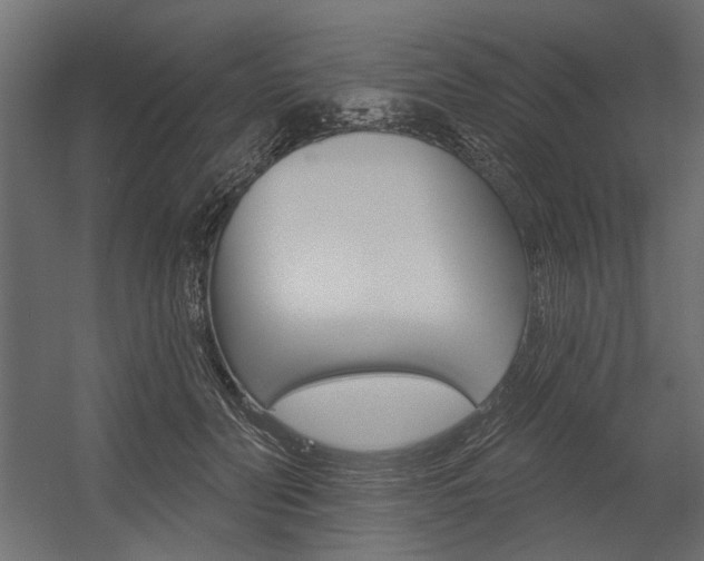 X0000054360606200507290807