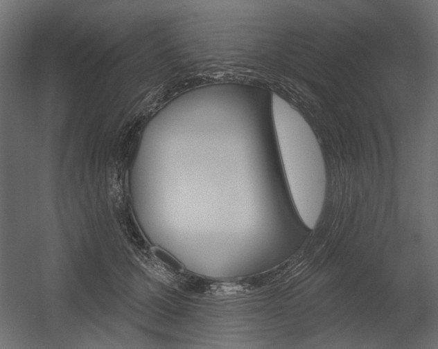 X0000054360607200507290807
