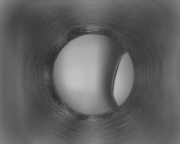 X0000054360608200507290807