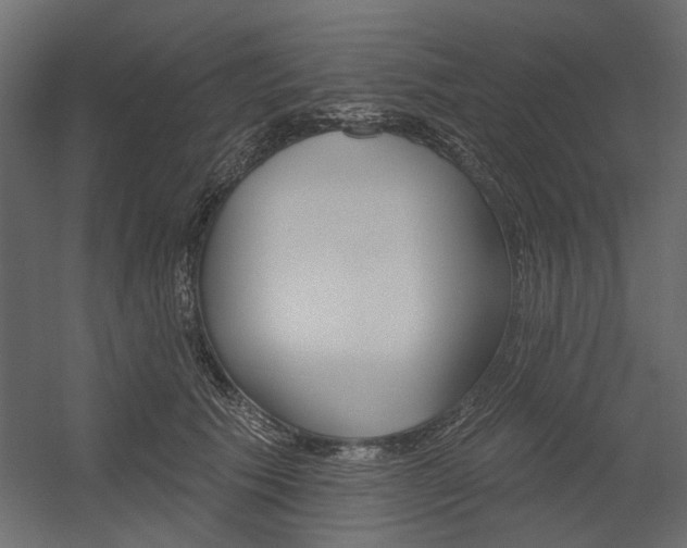 X0000054360609200507290807