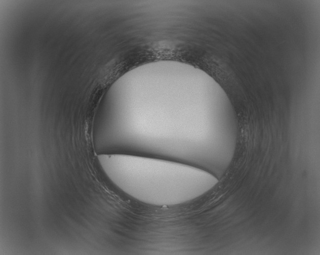 X0000054360610200507290807