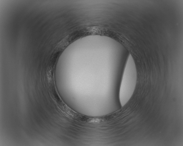 X0000054360611200507290806