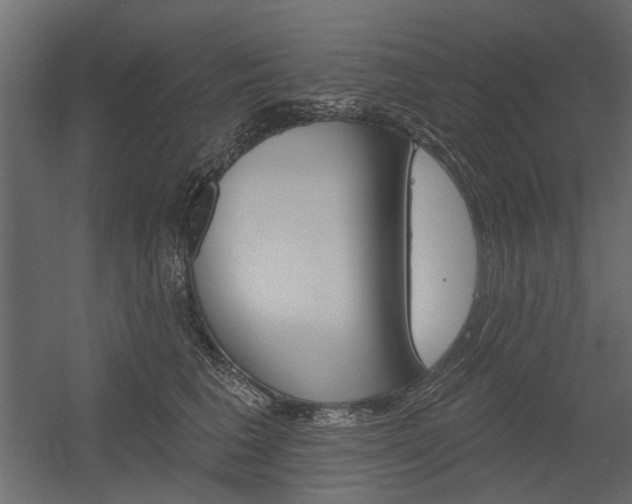 X0000054360613200507290806