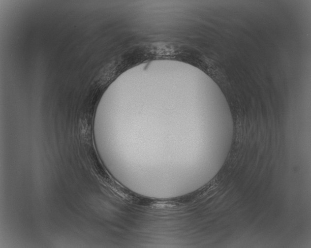 X0000054360614200507290806