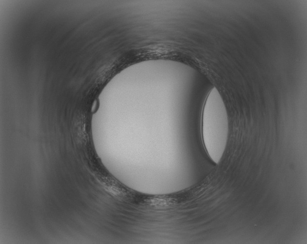 X0000054360615200507290806