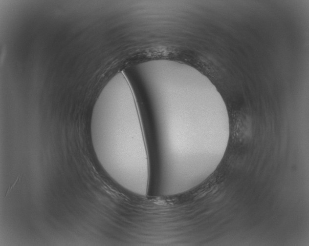 X0000054360616200507290806