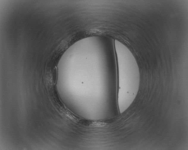 X0000054360617200507290806