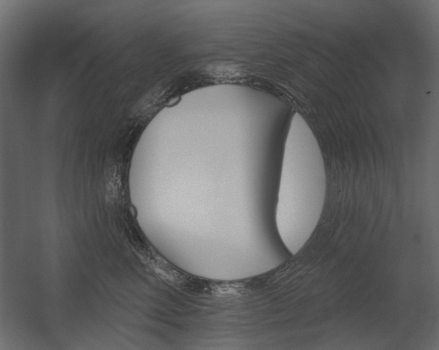 X0000054360618200507290806