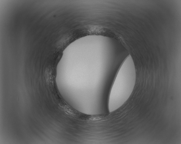 X0000054360619200507290806