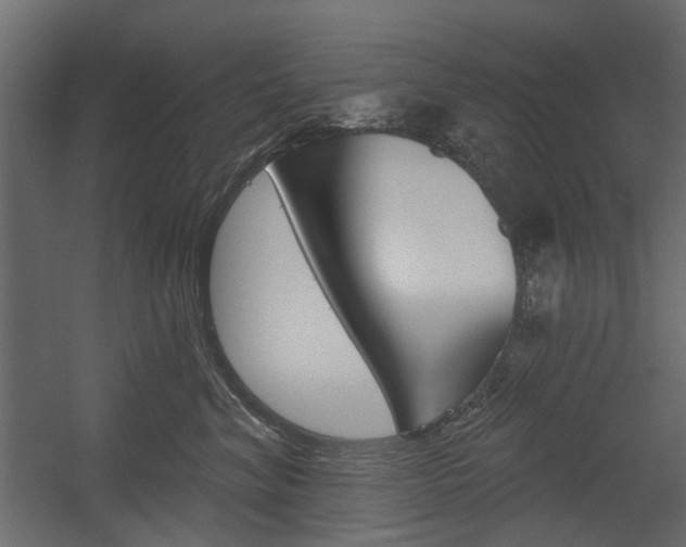 X0000054360620200507290806