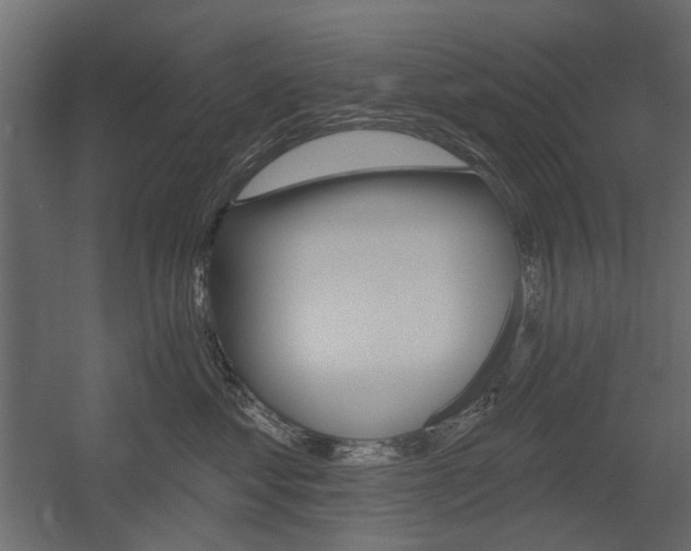 X0000054360621200507290806