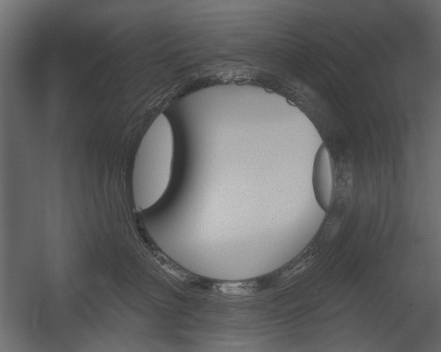 X0000054360622200507290806