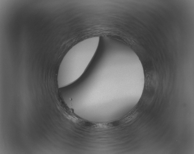 X0000054360623200507290806