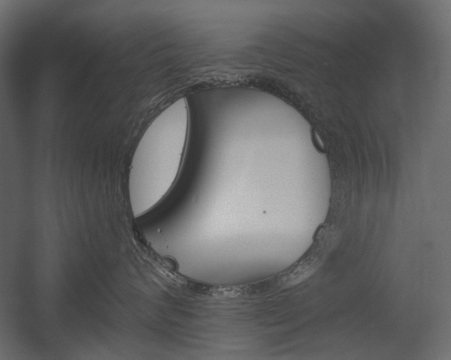 X0000054360624200507290806