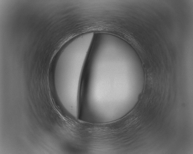 X0000054360626200507290805
