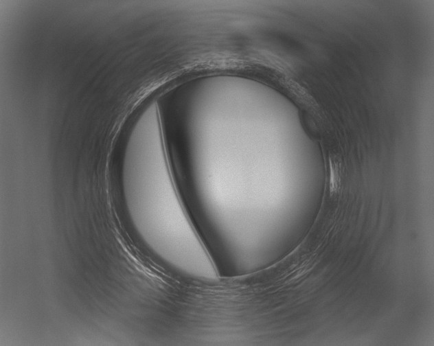 X0000054360627200507290805