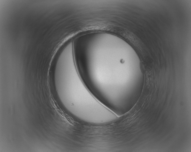 X0000054360628200507290806