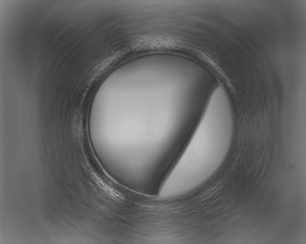 X0000054360629200507290806
