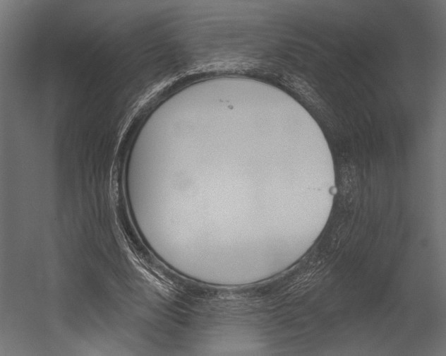 X0000054360632200507290806