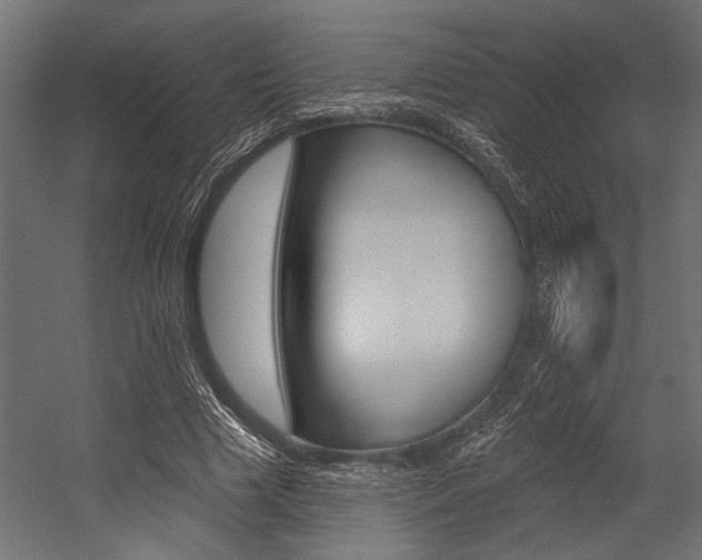 X0000054360633200507290806