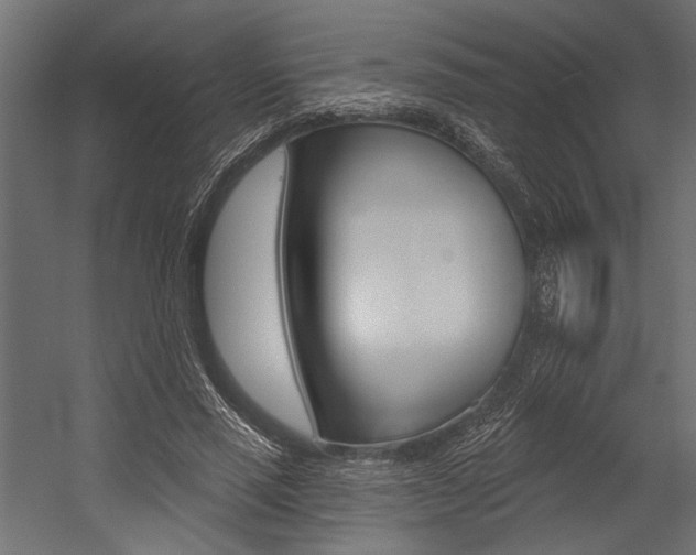 X0000054360637200507290806