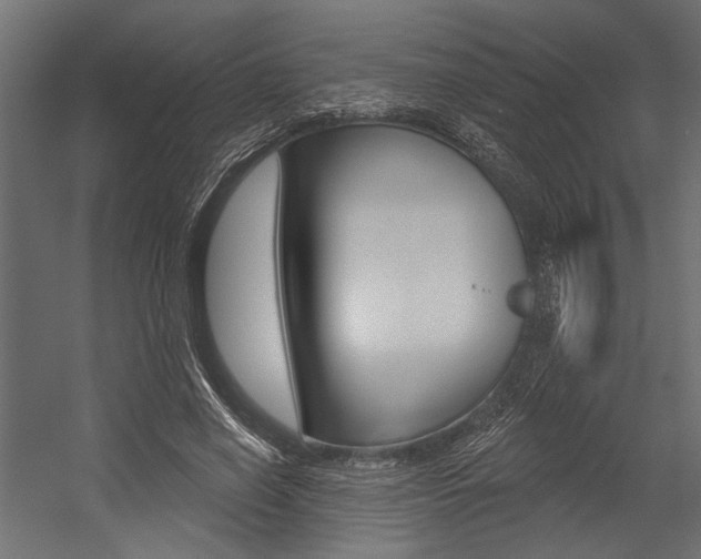 X0000054360638200507290806